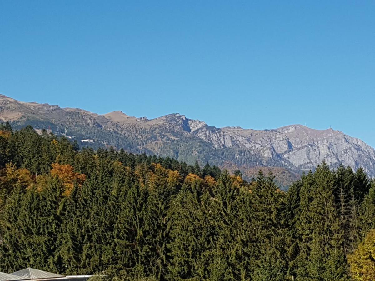 סינאיה Studio Mountain View מראה חיצוני תמונה